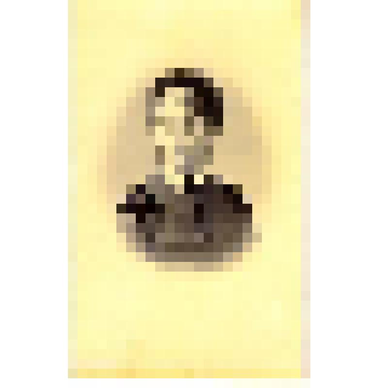 Фотография. Виллуан  Юлия Александровна, дочь Александра Ивановича Виллуана