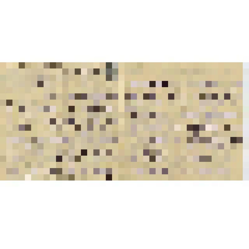 Письмо к Б.В. Асафьеву о своем душевном состоянии, о концертной программе и другое