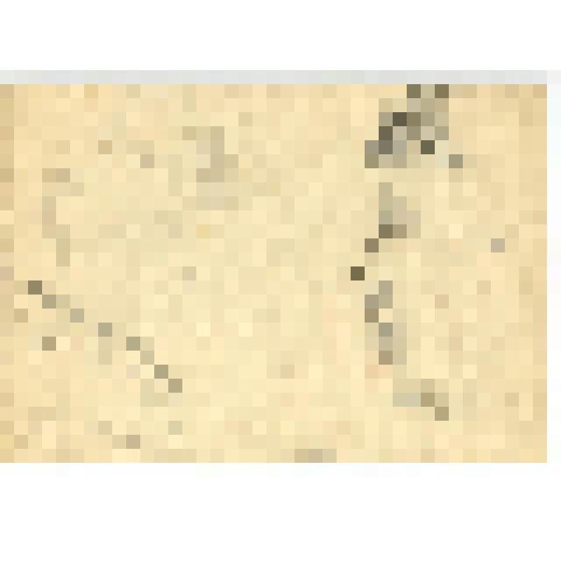 Альбом с набросками и учебными рисунками Д. А. Быстролетова, советского разведчика-нелегала