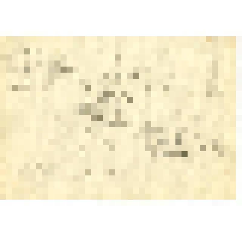 Альбом с набросками и учебными рисунками Д. А. Быстролетова, советского разведчика-нелегала