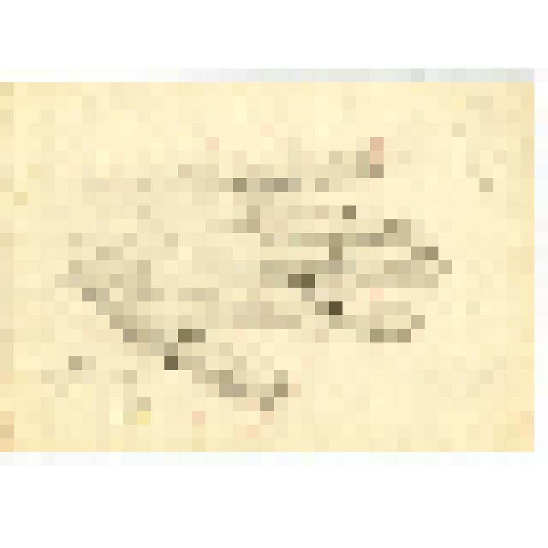 Альбом с набросками и учебными рисунками Д. А. Быстролетова, советского разведчика-нелегала