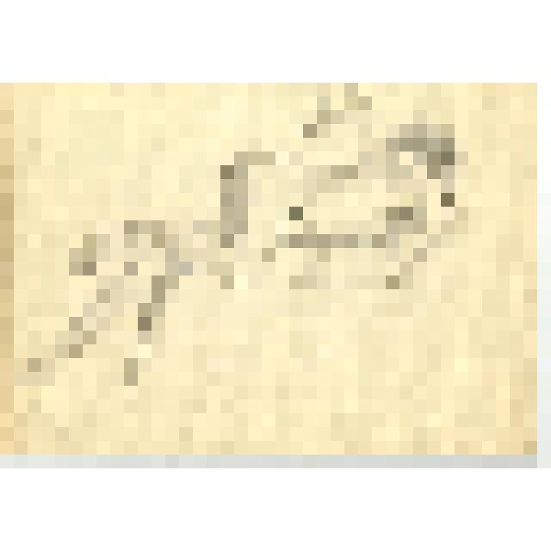 Альбом с набросками и учебными рисунками Д. А. Быстролетова, советского разведчика-нелегала