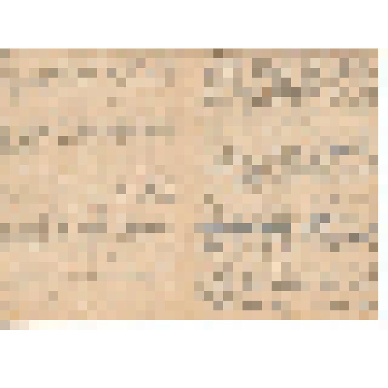 Документ. Белопухов С. С. Рукопись "Из путевых заметок". Из коллекции материалов о Белопухове Сергее Семеновиче (1900-1975), уроженце села Гольцовка Георгиевской волости Кинешемского уезда Костромской губернии, участнике Великой Отечественной войны (1941-