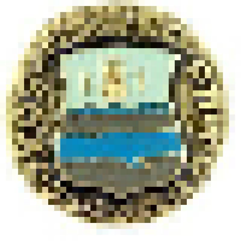 Значок. Плес, на булавке. СССР