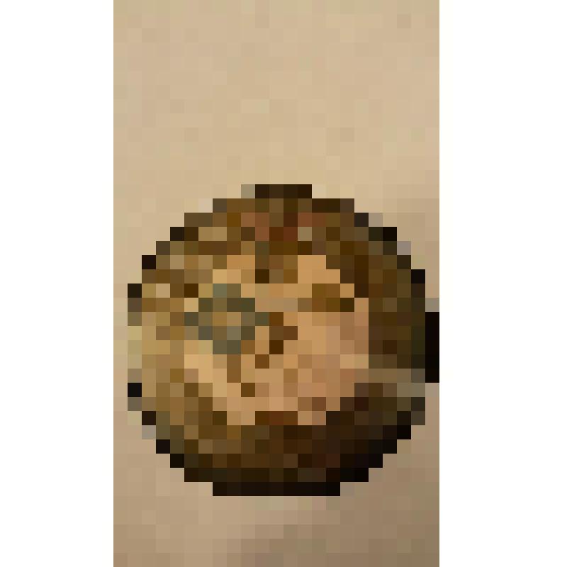 Грампластинка. Пьеса: "Только ты и я". Исполняет Джеральд Скотт. Композиторы James Campbell и Reg Connelly; Пьеса: "Я на моем пути в сказочную страну". Исполняет Джеральд Скотт. Композиторы James Campbell и Reg Connelly