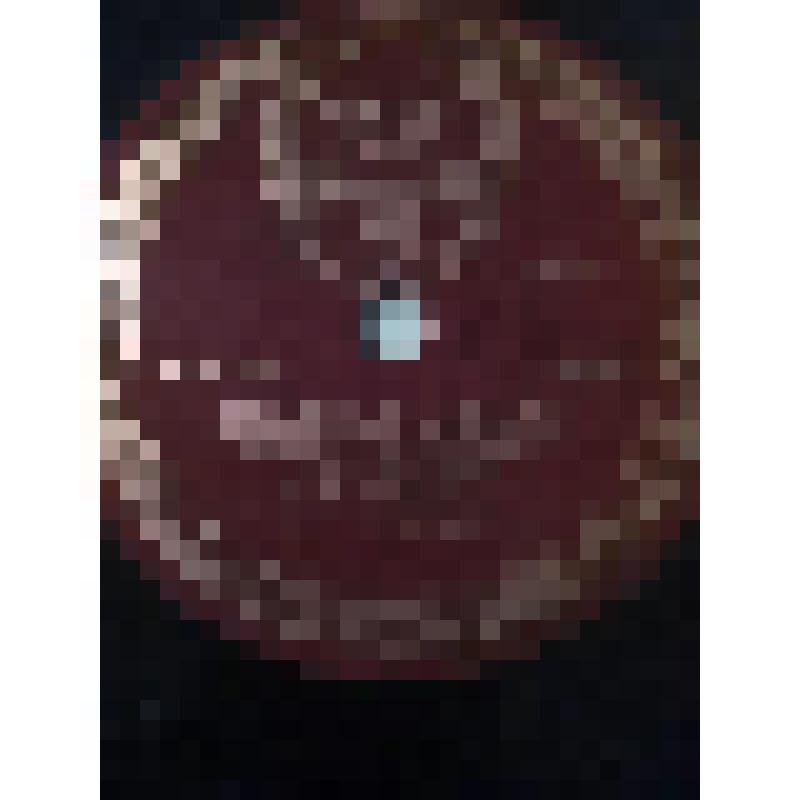 Грампластинка. 1. Стихотворение М. Лермонтова "На смерть поэта". Читает А.А. Остужев. 2. Сцена из V акта комедии А. Островского "Бешеные деньги". Исполняют: М.М. Климов, Е.Н. Гоголева. "Бешеные деньги". Москва, Государственный академический Малый театр СС