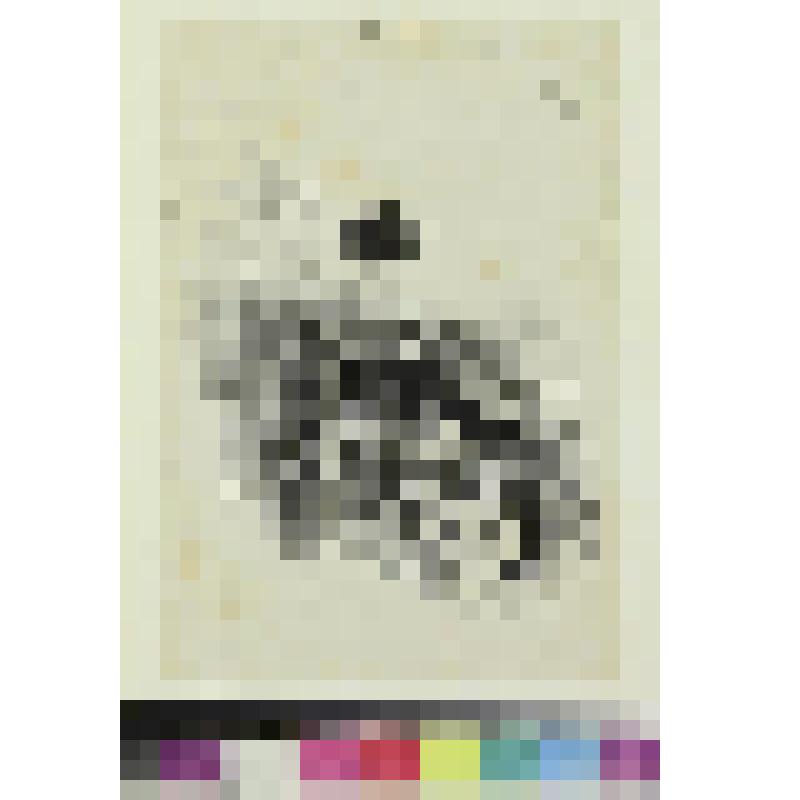 Портрет девушки, гравюра