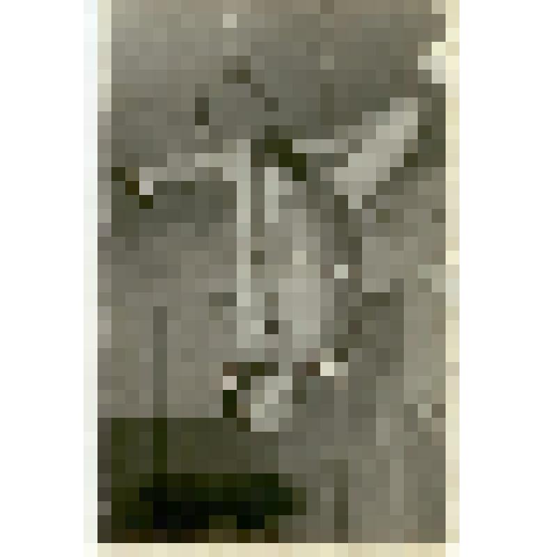 Фотография. Гимнастка – воспитанница детской спортивной школы городского отдела народного образования, на тренировке. Упражнение на кольцах