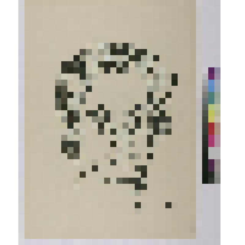 Портрет Матильды Лихновски, гравюра