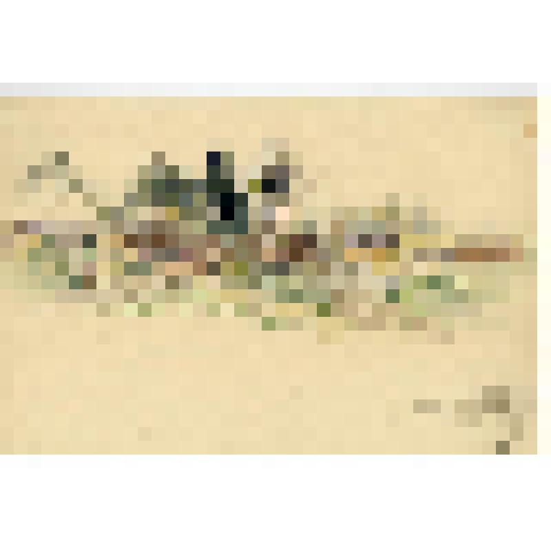 СЭГ-2896 на месте сгоревшей деревни. Рисунок