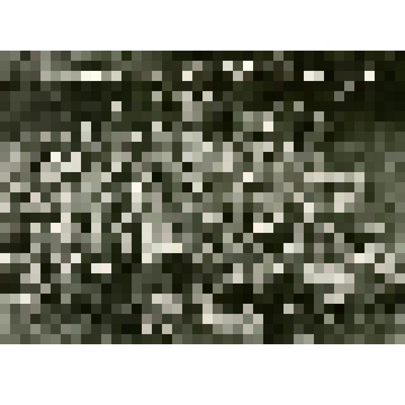 Фотография. Семинар секретарей комсомольских организаций школ Пермской рбласти. Лагерный сбор