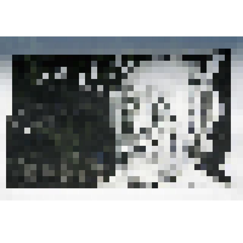 Худ. Коверин А.В. (1945 г.р.)«Циолковский»