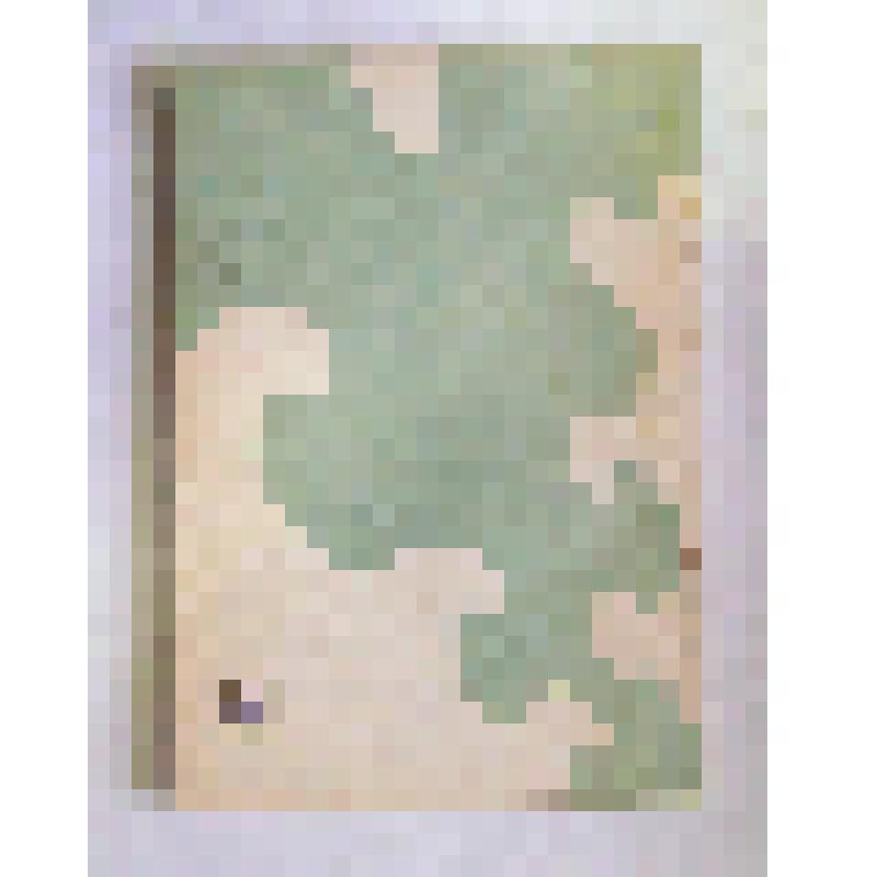 Книга. Музей планеризма. Гора Клементьева: Путеводитель. – Симферополь: Таврия, 1979