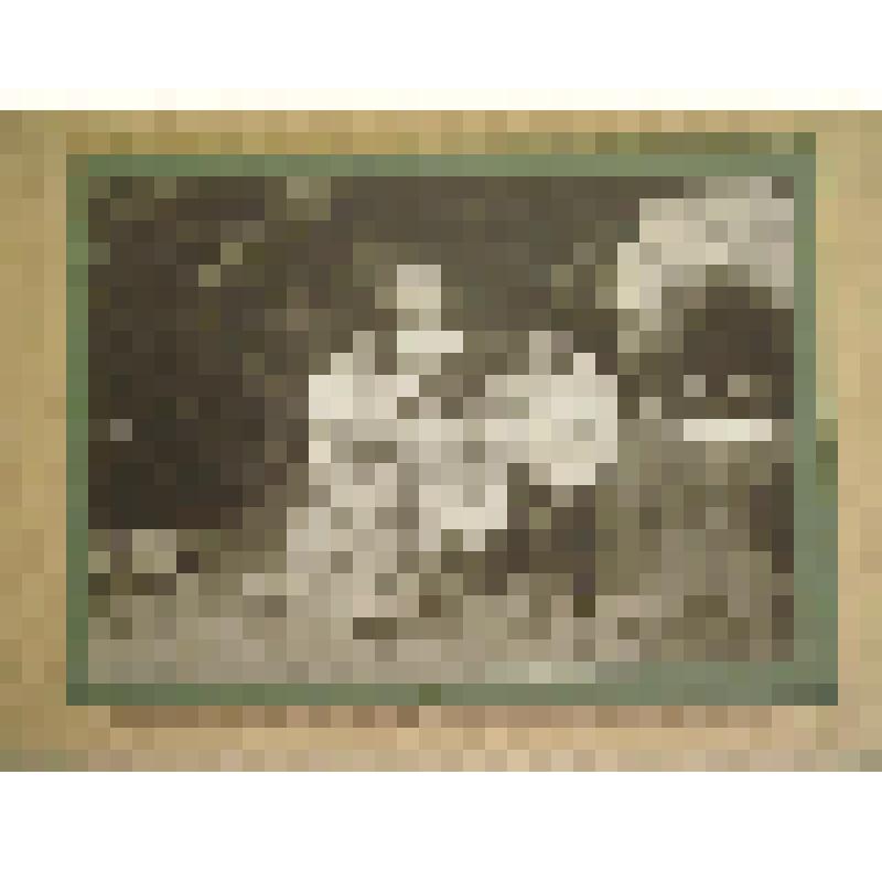 Л. Н. и А. И. Кекушевы с детьми