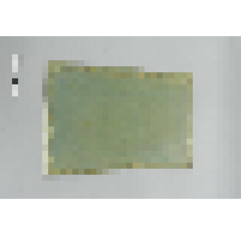 [ Манифест императора Александра I об отмене рекрутского набора на территории Российской империи ]. Лист печатный