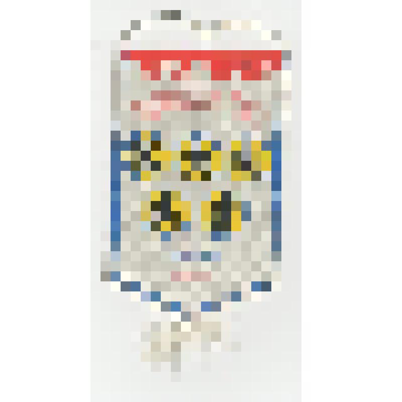 Вымпел. Ямало-Ненецкая окружная ДЮСШ. Национальные виды спорта. 1982 - 1997 гг