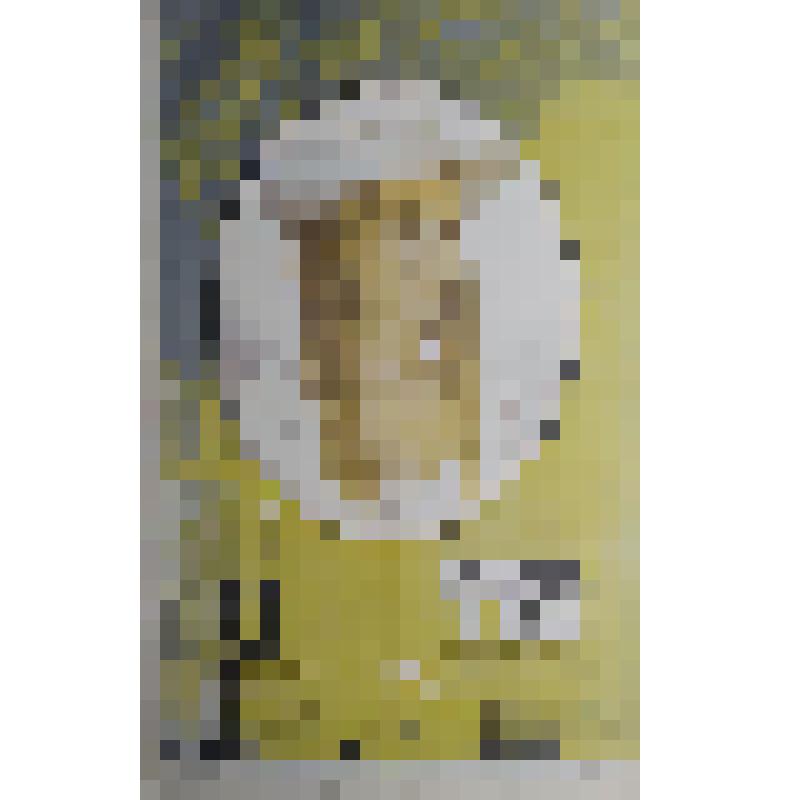 плакат. Фильм: Женщина в белом. 1981
