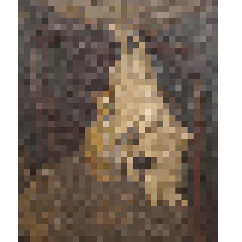 Натюрморт с лошадиным черепом