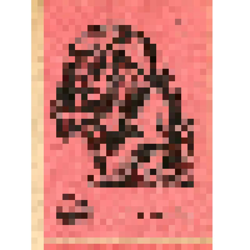 Этикетка спичечная. Породы собак. Немецкий штихельхаар