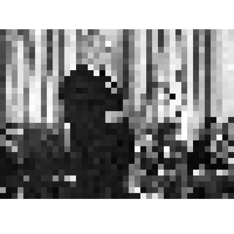 фотография. Григорий Рошаль и Виктор Листов на фестивале любительского кино. Минск