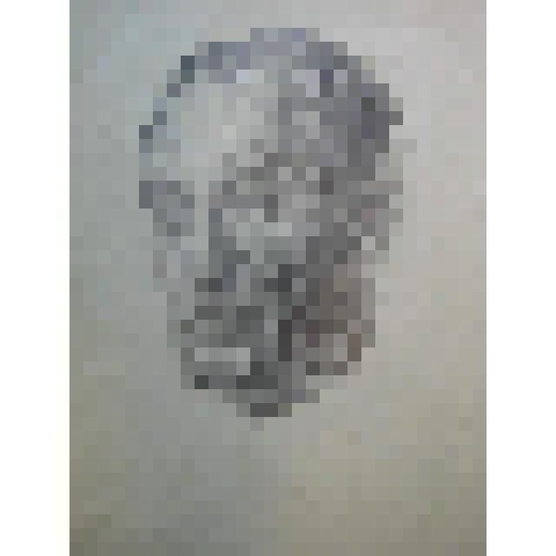 Рисунок. Автопортрет