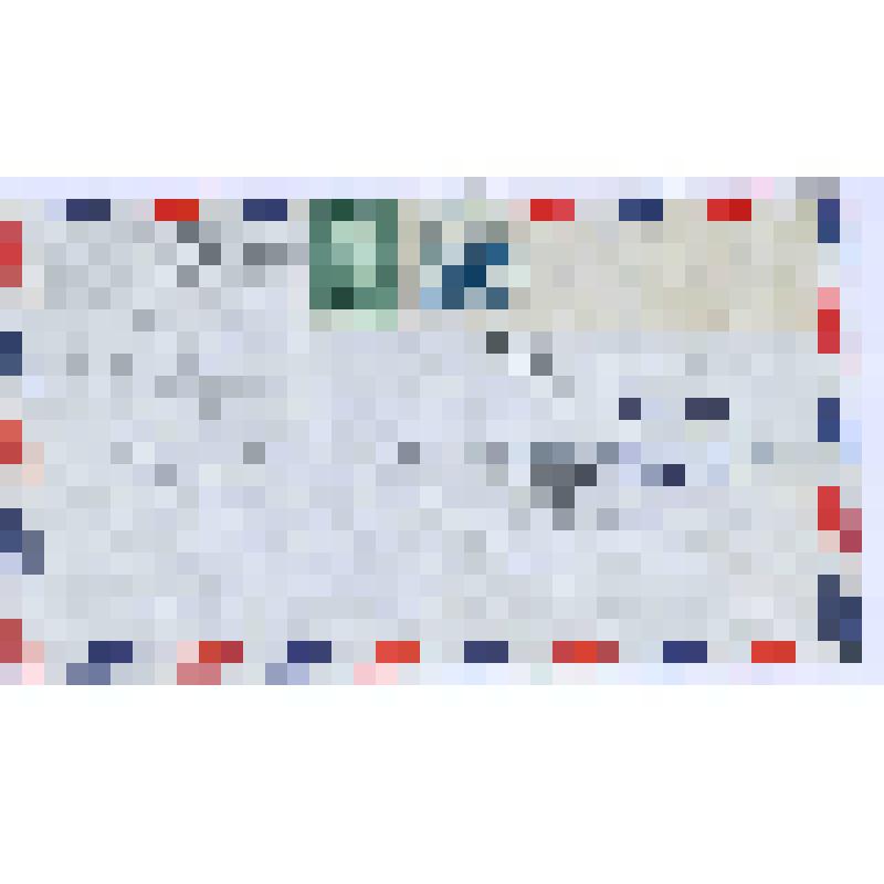 З.Г. Фосдик. Конверт