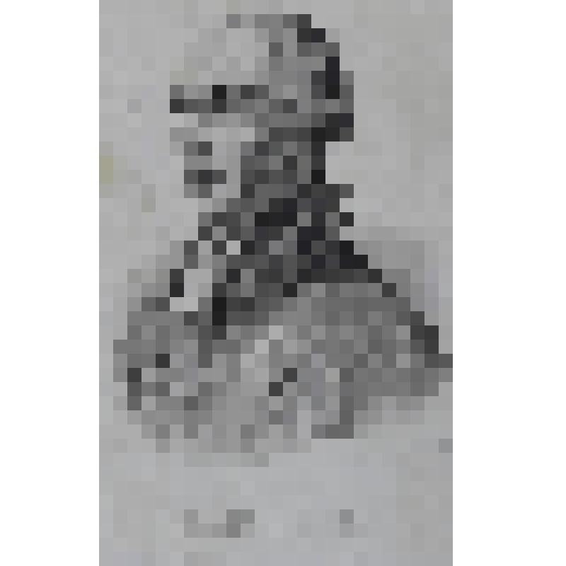 Портрет Иосифа II