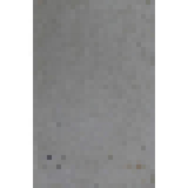 Портрет Иосифа II