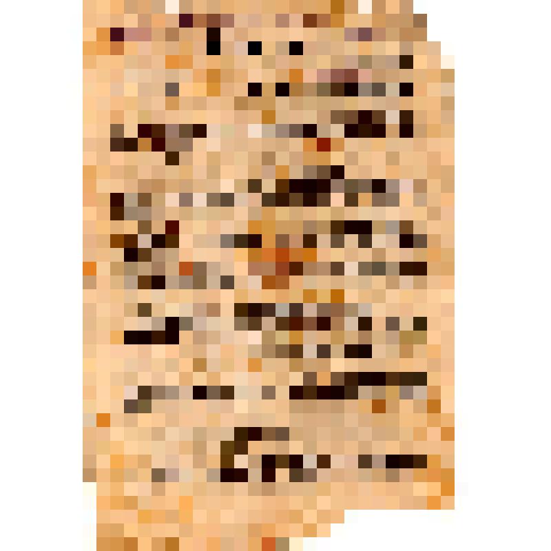 Баграмян, командующий войсками 1-го Прибалтийского фронта генерал армии и др. Приказ войскам  Первого Прибалтийского фронта N 16