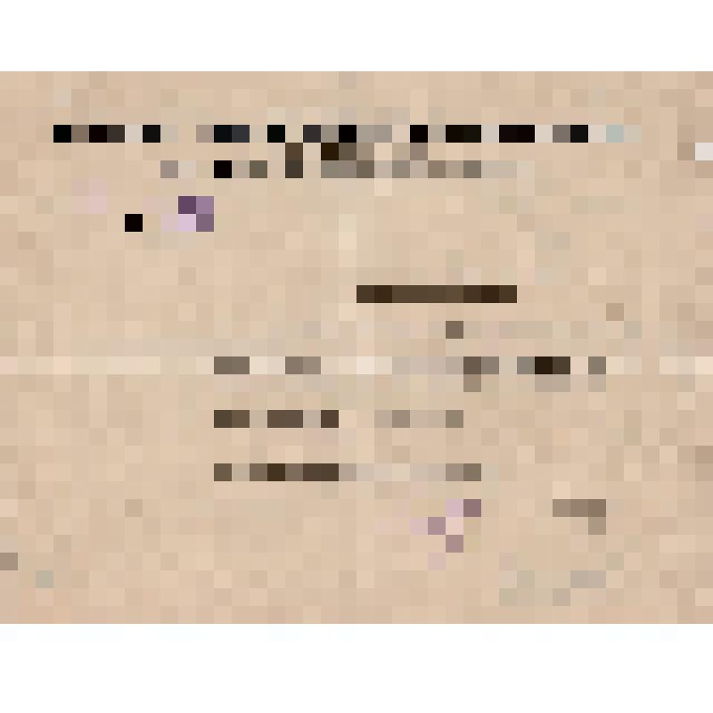 Направление N 222 Сыр - Дарьинского окружного комитета в горсовет г. Чимкента уполномоченных по хлебозаготовкам