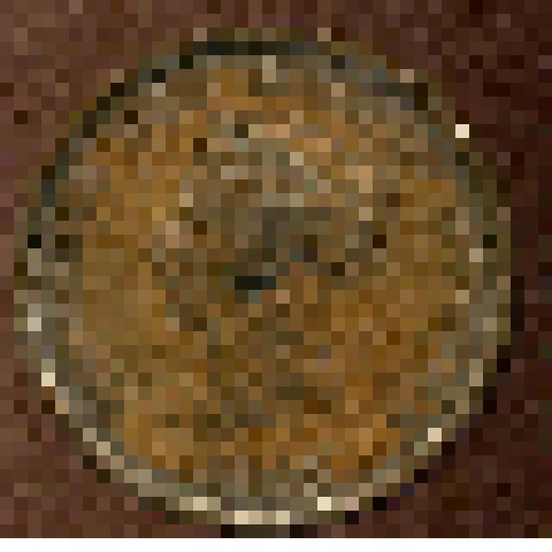 Монета Нью-Брансуика (Канада). 1 пенни. Канада (Нью-Брансуик). Виктория