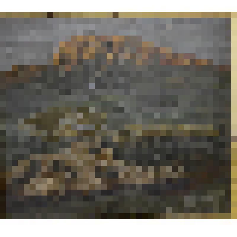 «На восходе гора Оргаа». Картина