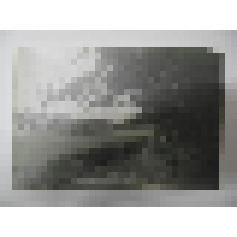 Парк. Усадьба Архангельское. 1790-е гг, 1829 г. Московская обл. Красногорский р-н, Усадьба Архангельское. Парк, 1790-е гг, 1829 г. Тромбаро Д.; Дрегалов В. Г. Терраса, аллея