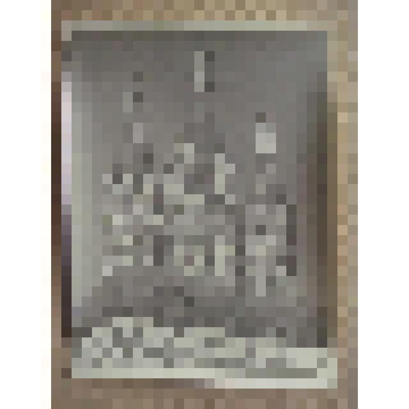 Церковь Одигитрии. Иоанно-Предтечинский монастырь. 1635-38 гг. Смоленская  обл., г. Вязьма. Иоанно-Предтечинский монастырь. Церковь Одигитрии. Шатры. Вид с юго-востока