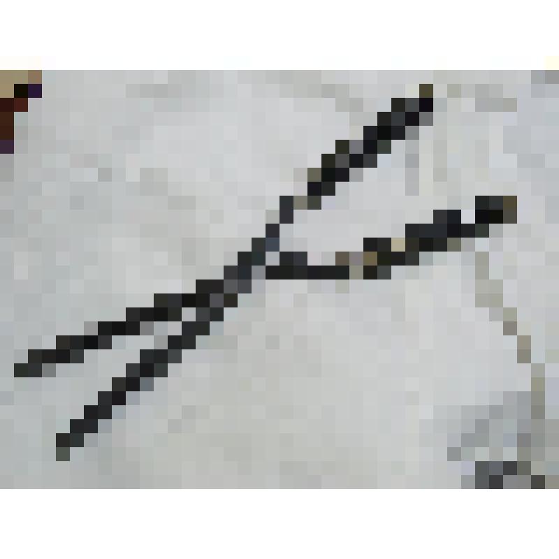 Щипцы для завивки волос, из коллекции бытовых вещей семьи Орловой Калерии Николаевны, бывшей заведующей лабораторией Саратовского областного туберкулезного диспансера