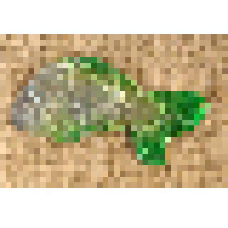 Игрушка елочная картонажная «Рыбка», из коллекции елочных игрушек и украшений