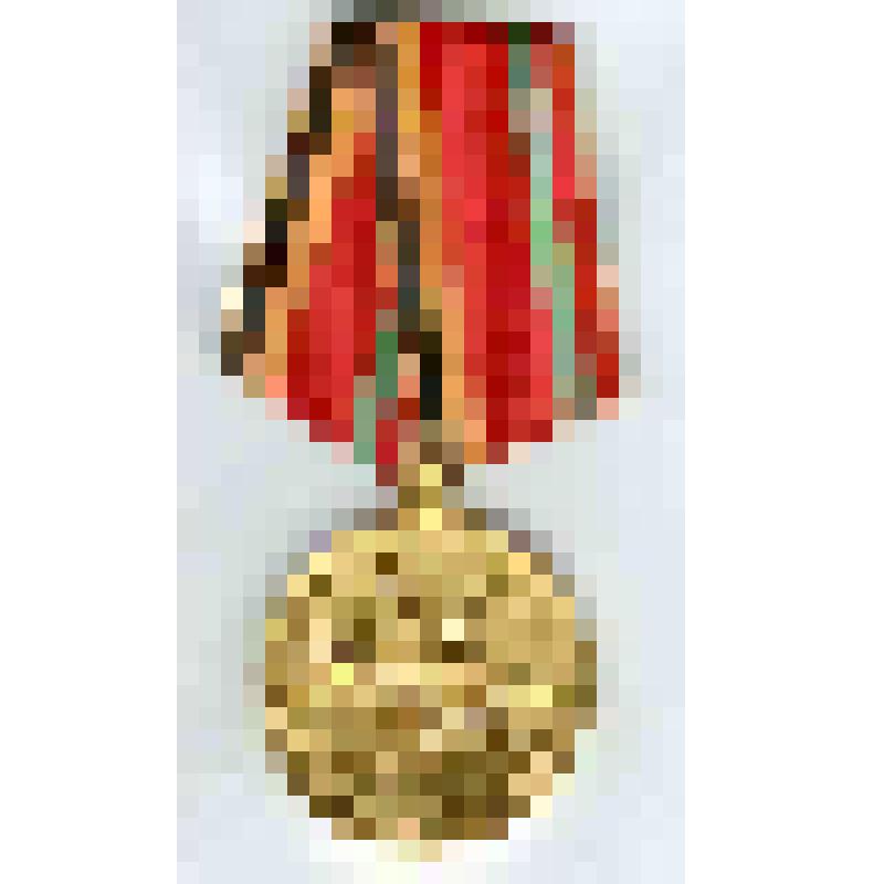 Медаль наградная юбилейная "30 лет Победы в Великой Отечественной войне 1941-1945 гг." Полущева Федора Николаевича