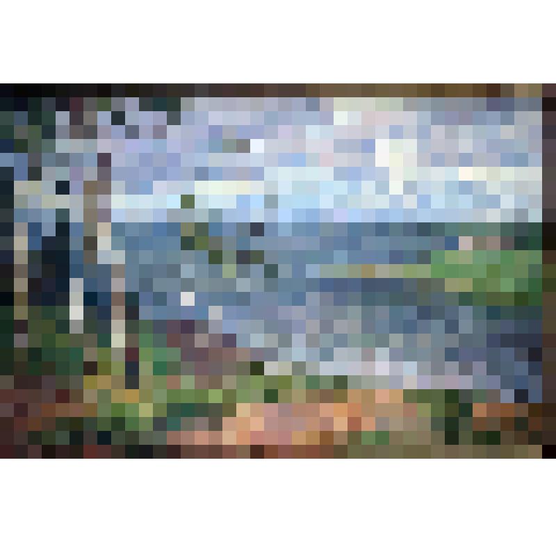 "Бородаевское озеро близ  Ферапонтово". Картина