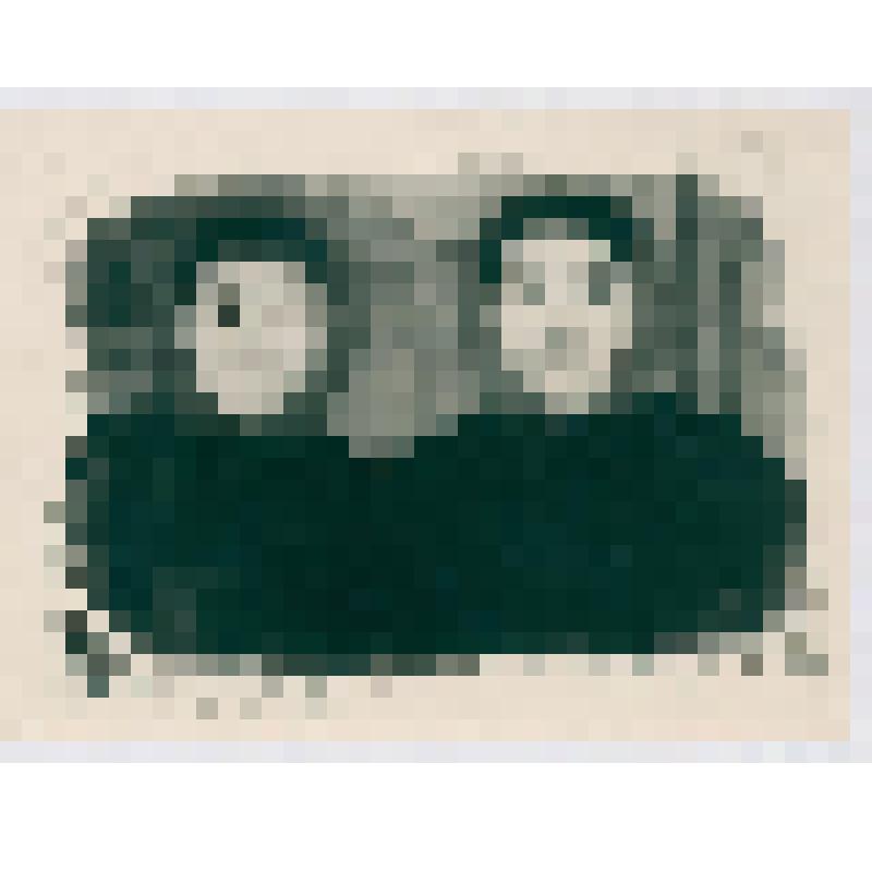Фотография. Нивхские девушки