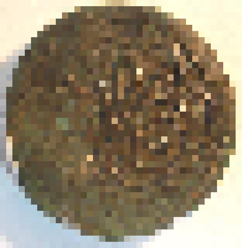 Копейка времени правления Елизаветы Петровны (1741-1762 гг.)