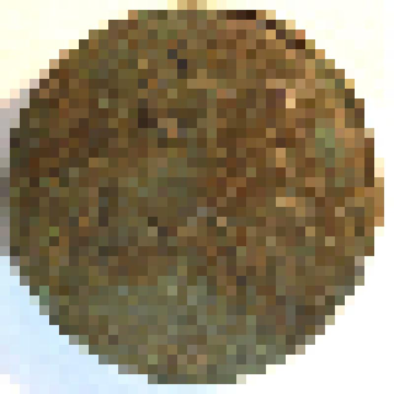 Копейка времени правления Елизаветы Петровны (1741-1762 гг.)