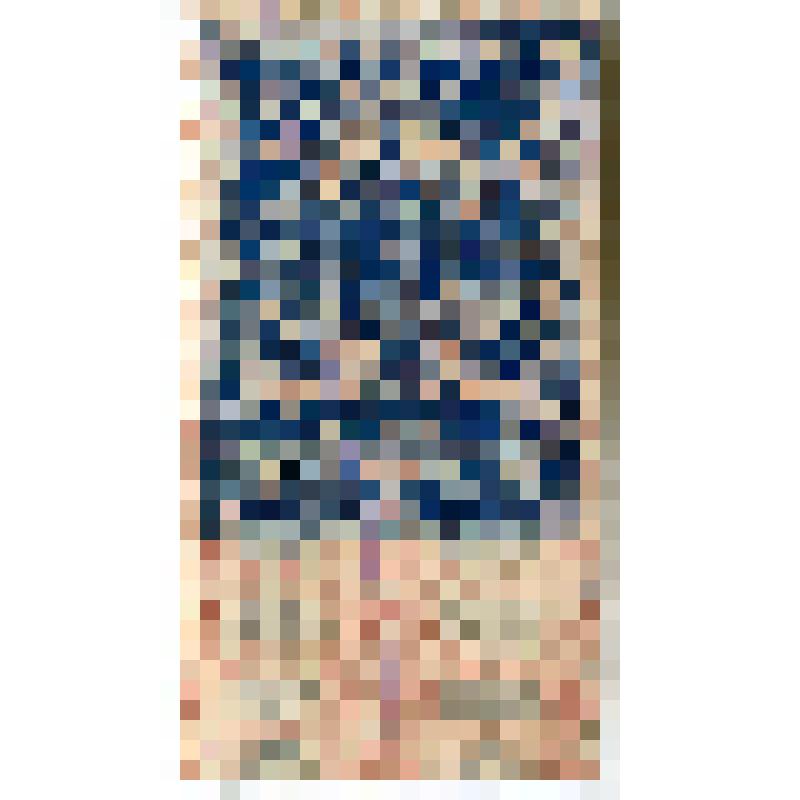 Марка непочтовая, гербовая «15 копеек». 1907 г., Российская империя