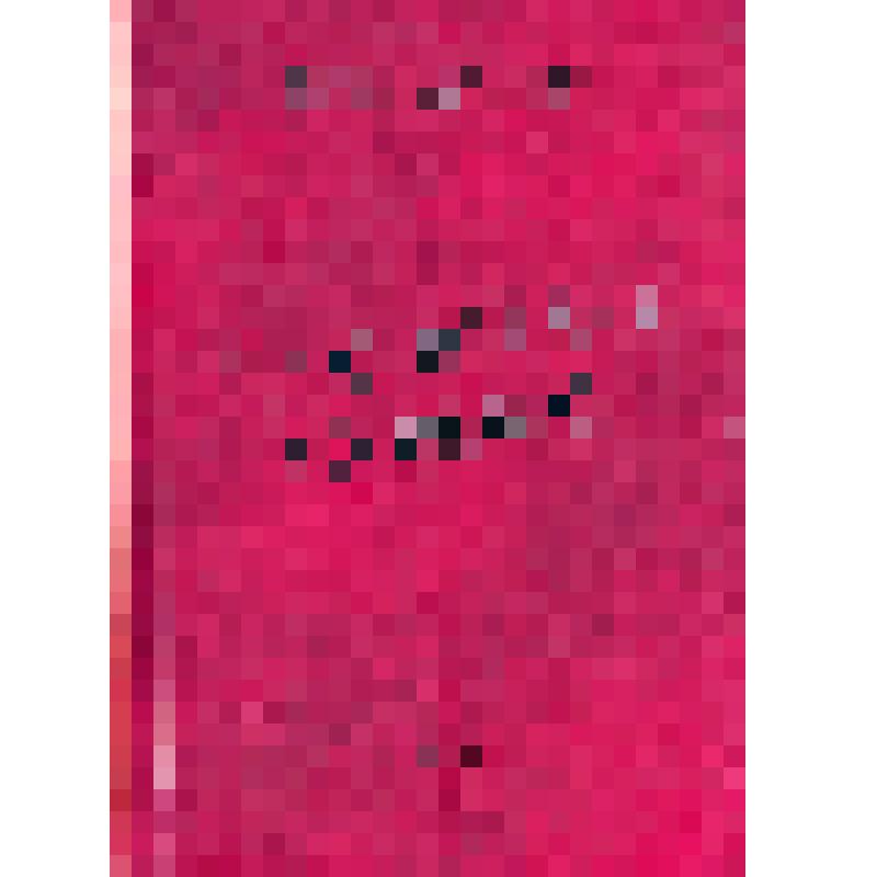 Книга. "Что было, то было". Рассказы, очерки,публицистика, 450 стр