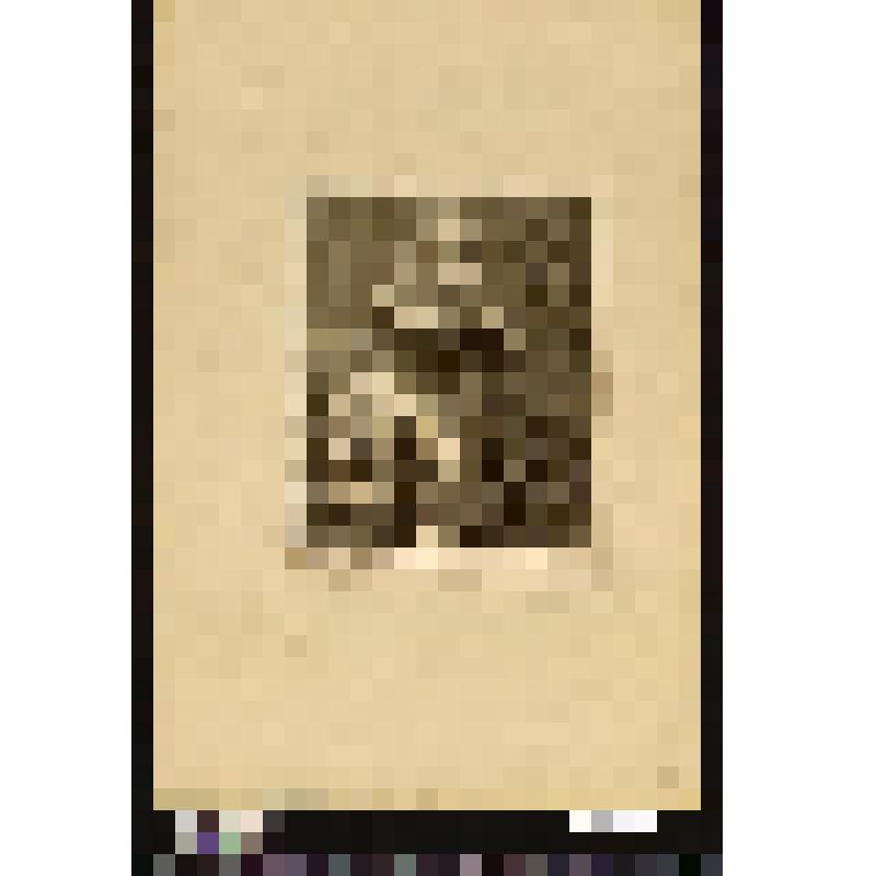 Портрет Бланкатцио