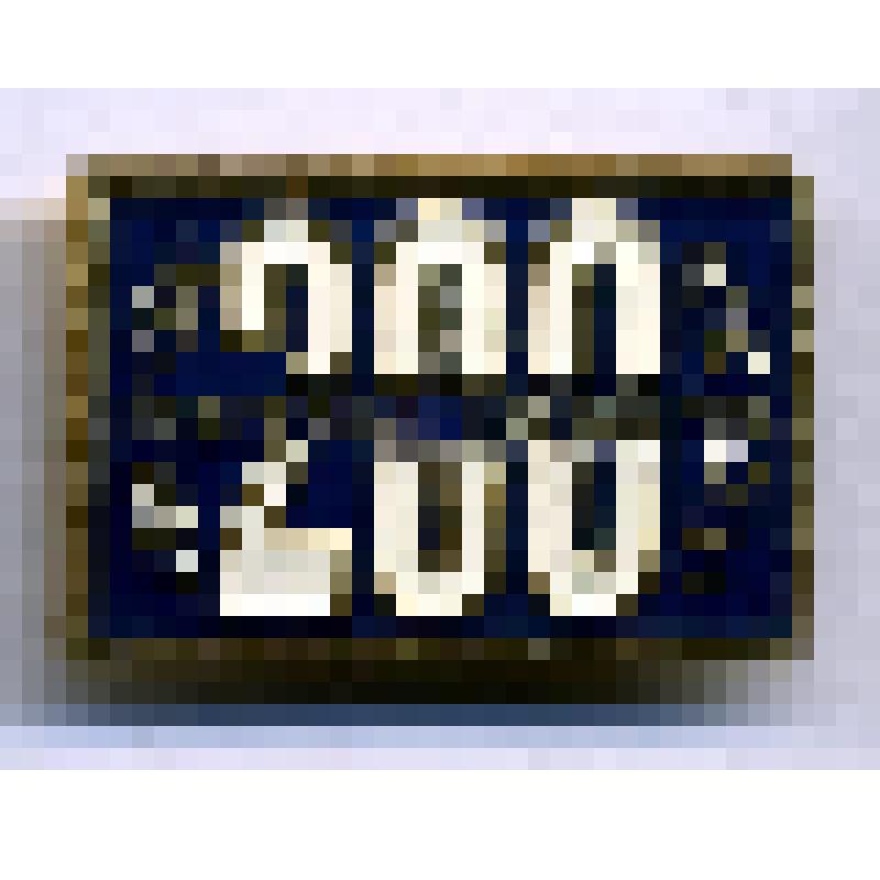 Значок "Пошехонье-Володарск 200"