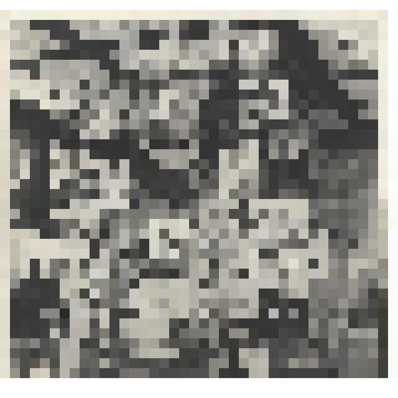 Оформление входа выставки "Чукотка" на ВДНХ. Павильон профессионального технического образования. Фотография черно-белая