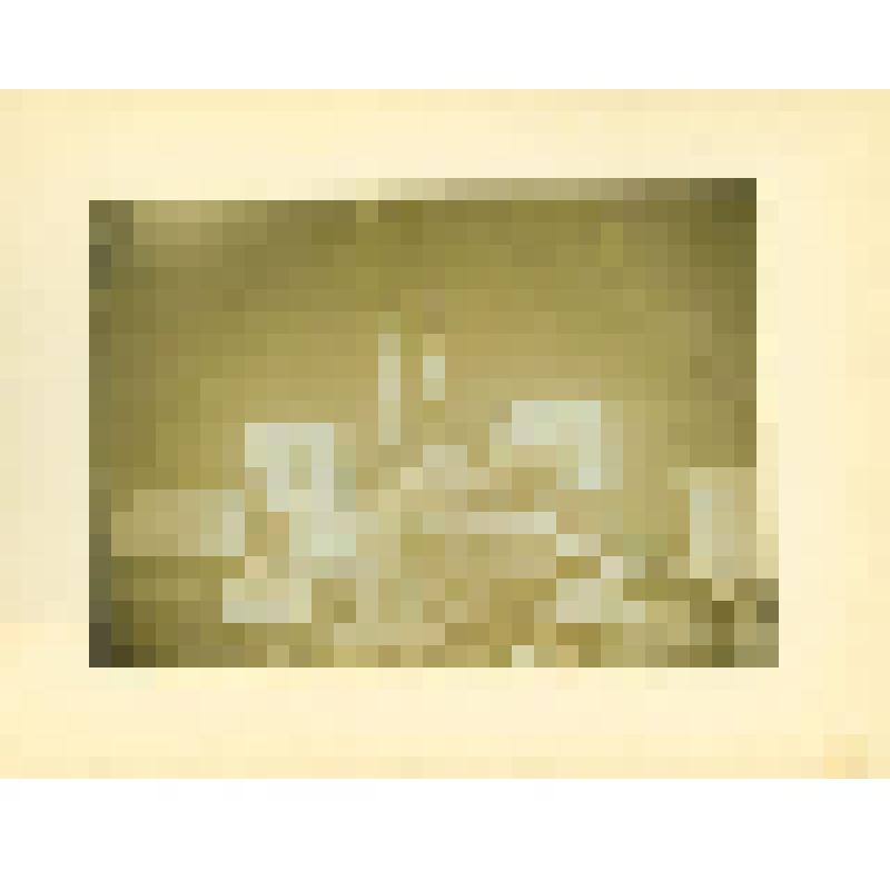 Фотография. Вторая ветеринарная экспедиция на полуостров Ямал. Внутренность палатки