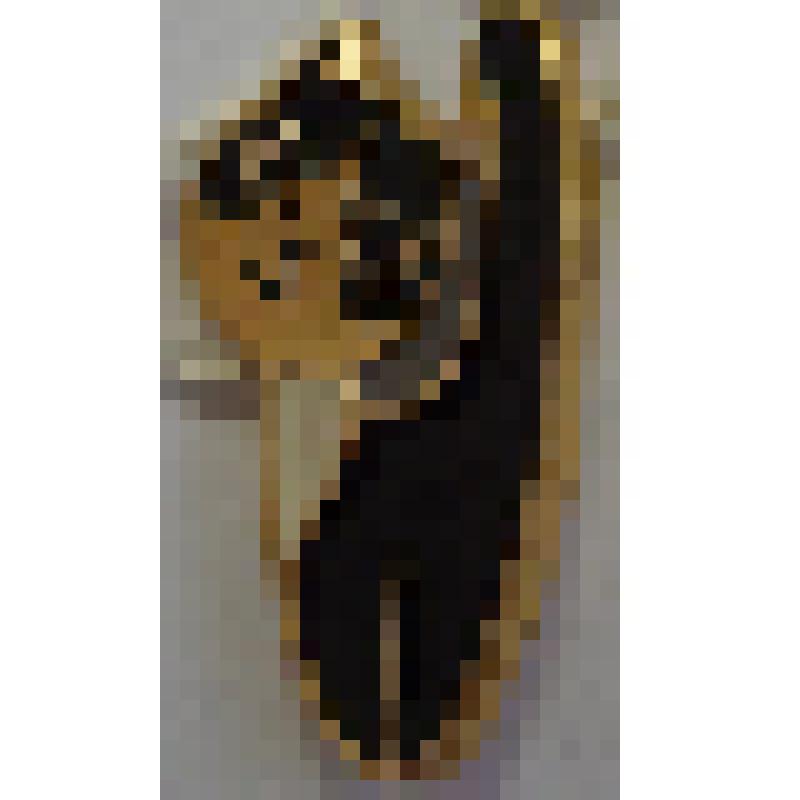 Значок. Черная кошка