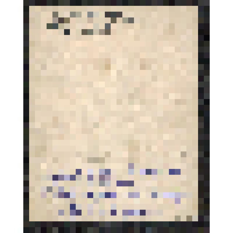 Фотография. Тупицына А.Д. с родными на даче в Карелии