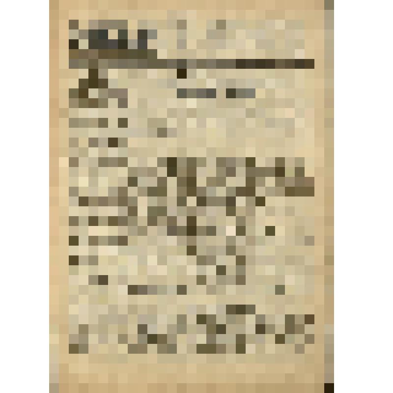 Газета. "Звезда" № 171